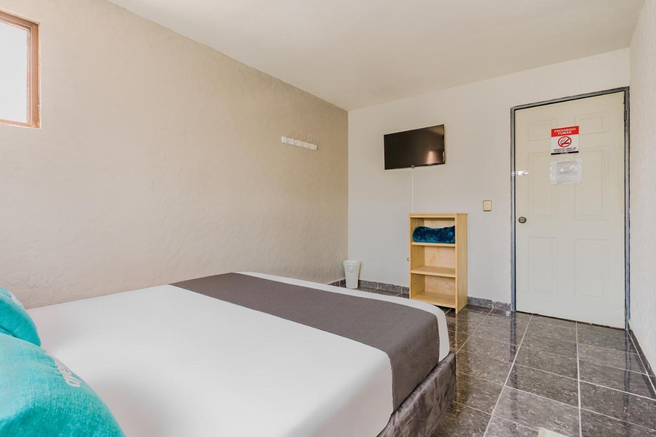 Ayenda Blue Cristal Hotel Monterrey Eksteriør billede